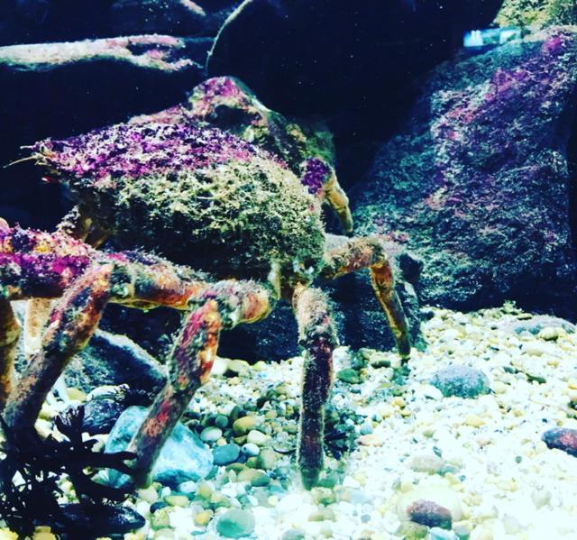 Aguda Beach Porto, Slow Travel Houses ヴィラ・ノヴァ・デ・ガイア エクステリア 写真